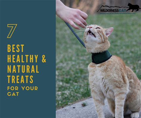 7 Best Healthy Cat Treats Natural Treats For Cats Wildernesscat