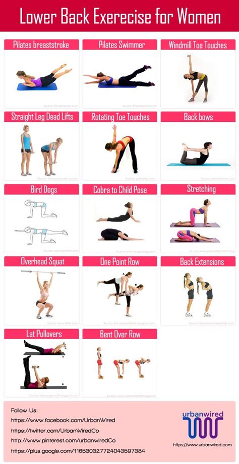 Lower Back Exercises For Women Back Strengthening Exercises Back