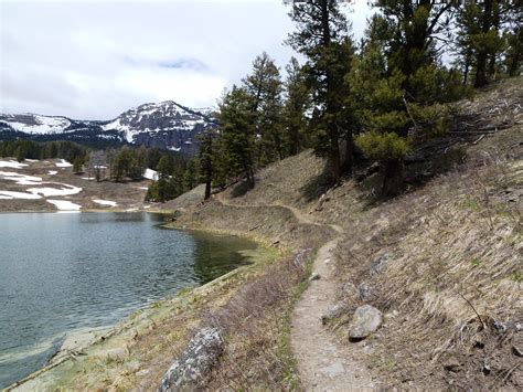 Brian And Ashleys Hiking Blog Trout Lake Hike Yellowstone National