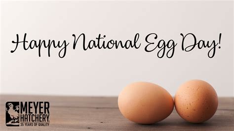 Happy National Egg Day Youtube