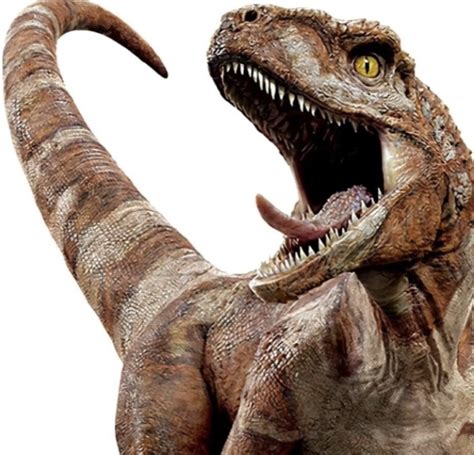 Red Atrociraptor Jurassic Park Wiki Fandom