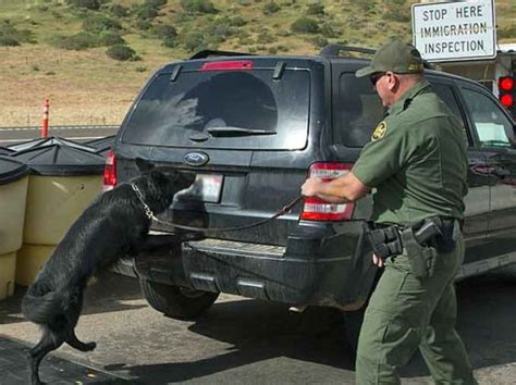 Border Patrol Seizes Largest Narcotics Bust In San Diego 225m
