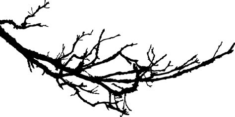 Tree Branch Vector Clipart Best