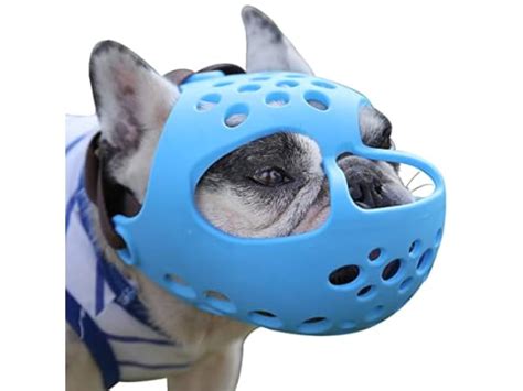 The 8 Best Dog Muzzles For French Bulldog Of 2024 Reviews Findthisbest
