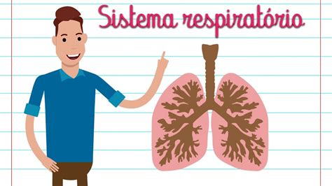 Resumo Do Sistema RespiratÓrio Youtube