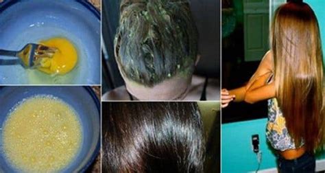 Maybe you would like to learn more about one of these? Aliments Pour Faire Pousser Les Cheveux - Faire Pousser Sa ...
