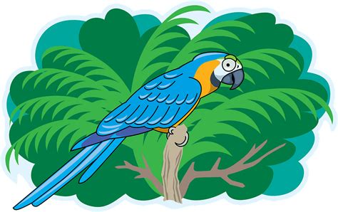 Parrot Clipart Free Download Transparent Png Creazilla