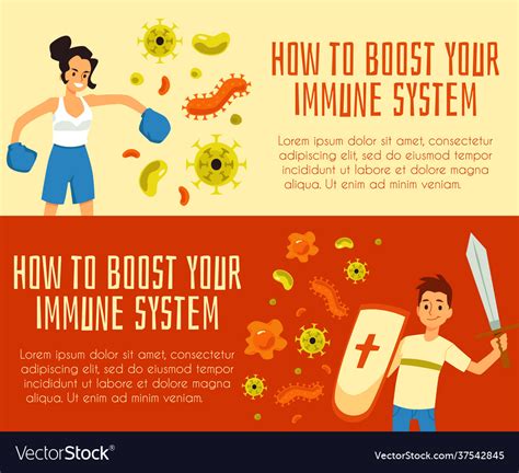 Boosting Immune System Posters Or Flyers Set Flat Vector Image