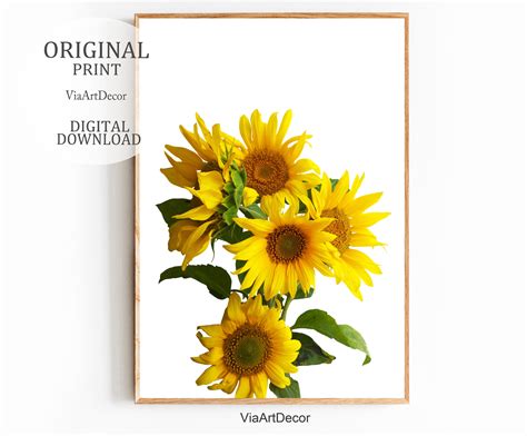 Sunflower Print Botanical Floral Wall Art Printable Yellow Etsy