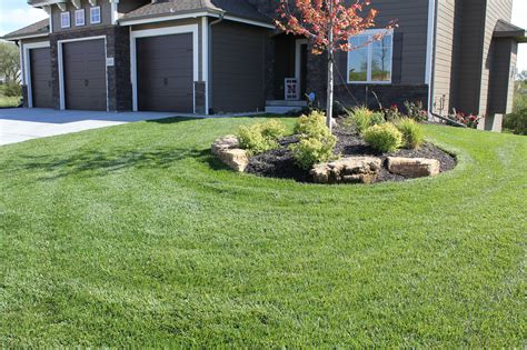 I threw some down last fall when i overseeded. RTF Fescue