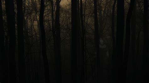 Haunted Forest Hd Wallpaper Background Image 1920x1080 Id304200