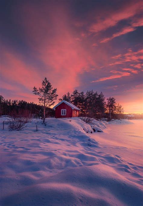 Photographing The Same Red Cabin Over The Years Winter Pictures