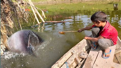 Omg Amazing Hook Fishing Traditional Boy Catching Fish With Hook By Pond Water Big Monstar Fish