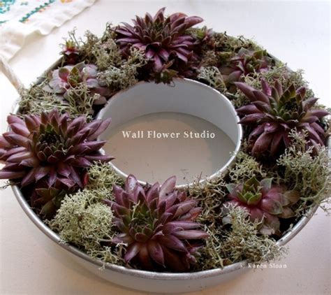 Succulent Container Garden Workshop At Wall Flower Studio Wall Flower