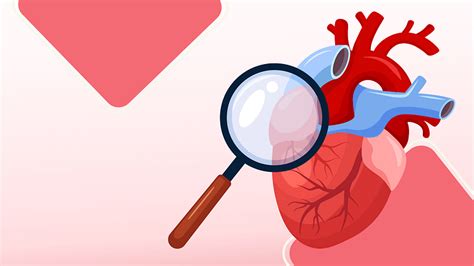 Conoce Las 10 Enfermedades Cardíacas Más Comunes