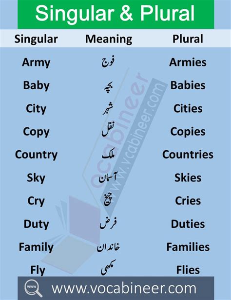 100 Singular Plural Nouns List Examples In Urdu Or Hindi With PDF