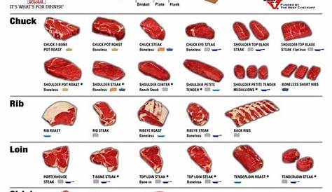 38 best what part of a cow chart images on Pinterest