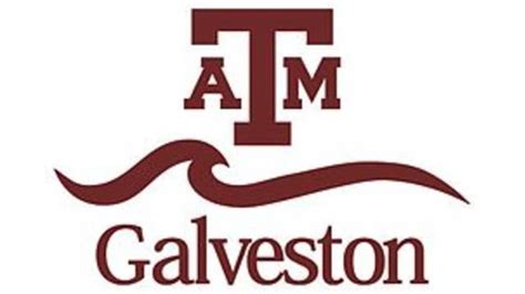 Texas Aandm Galveston Professor Fails Entire Class