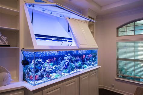 Besides good quality brands, you'll also find plenty of discounts when you shop for 200l fish tank during big sales. *d2mini's new 200g Reeftastic Build* - Page 35 | Fish tank ...