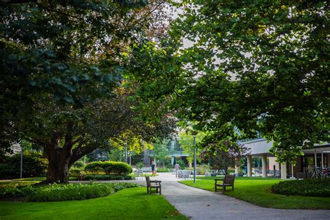 Best Questions to Ask College Admissions Officers | Ivy Coach