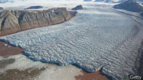 Cinco Osos Polares Tienen Sitiados A Científicos En El Ártico