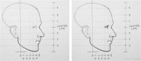 How To Draw A Face From The Side 10 Steps Rapidfireart
