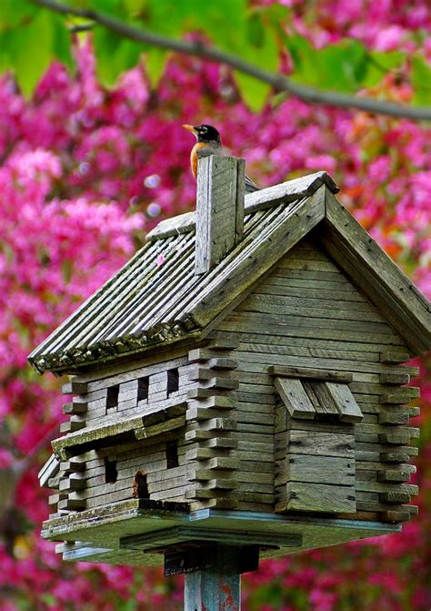 Log Cabin Birdhouse By Cherylorraine Smith On 500px Bird Houses Bird