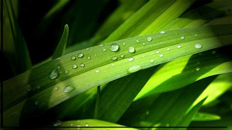 All new wallpaper : Gambar Wallpaper Keren HD Ukuran Besar