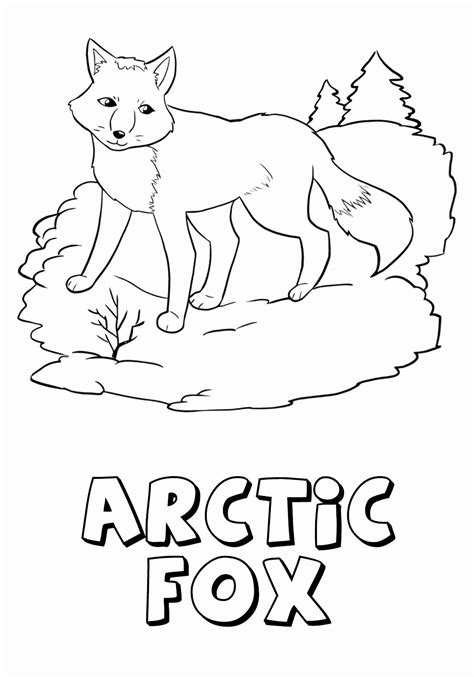 Free Printable Arctic Fox Coloring Pages