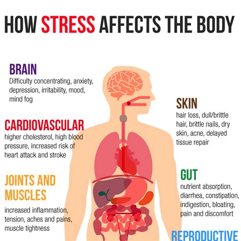 Body Signals Stress Greensboro Chiropractic