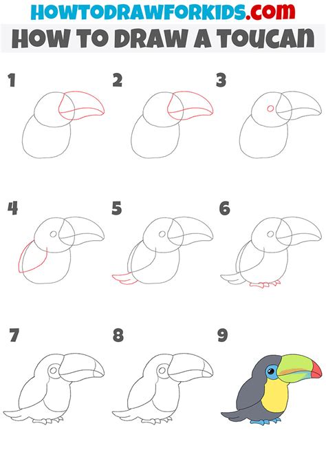 How To Draw A Toucan Easy Drawing Tutorial For Kids
