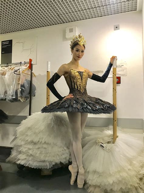 Swan Lake Costumes Dance Outfits Ballet Dress Ballet Fashion