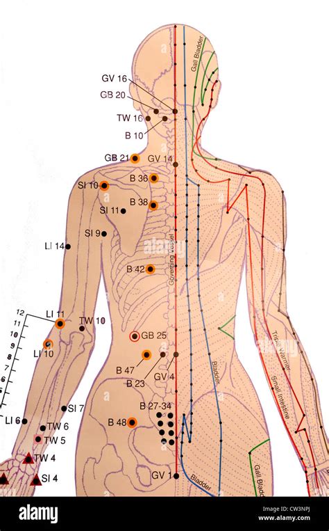 Diagrama De Frecuencias My XXX Hot Girl