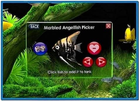 Windows Fish Tank Screensaver Microsoft Download Screensaversbiz
