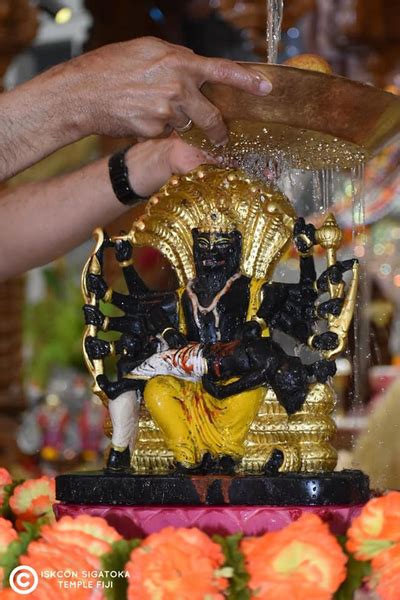 Lord Narasimhadeva Abhishek At Iskcon Sigatoka Fiji On 18th May 2019