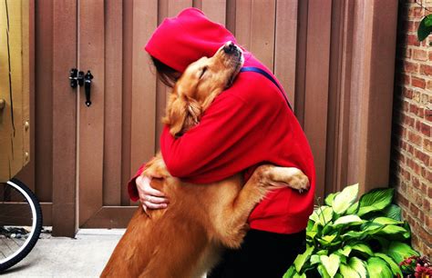 These Heartwarming Photos Of Dogs Hugging Their Humans Will Make You