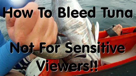 How not to drown (feat. How to Bleed Tuna - Not for sensitive viewers!! - YouTube