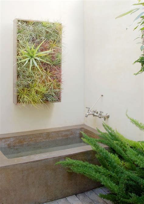 See more ideas about bathroom plants, plants, indoor plants. Best Plants That Suit Your Bathroom - Fresh Decor Ideas