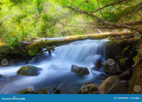 Tamanawas Waterfall In The Mount Hood National Forest In The Pacific