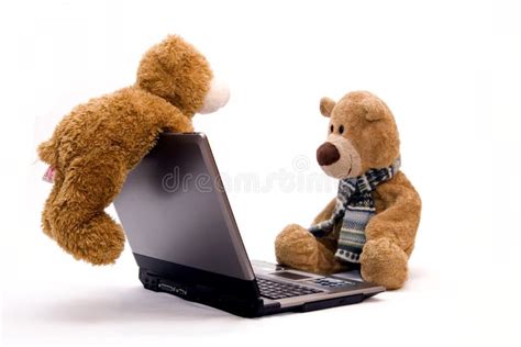 Laptop Computer And Teddy Bear Stock Photo Image Of Business