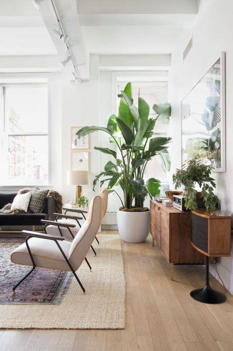 Home Interior Design — Greenery Surrounds Two Velvet Anthropologie
