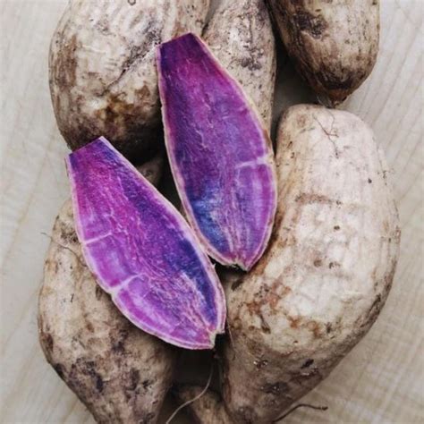 The Ultimate Purple Sweet Potato Guide | Frieda's Inc. - The Specialty