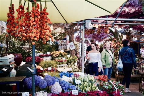 Amsterdam Flower Market Amsterdamian Amsterdam Blog