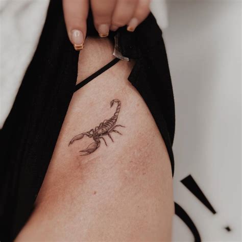 Scorpion Tattoo Located On The Pelvis