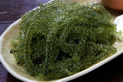 The Health Benefits Of Seaweed By Melissa Flagg Osc Caloriebee