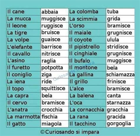 Pin De Ivanna En Officio Aprender Italiano Idioma Italiano Palabras
