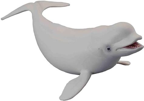 Collecta Sea Life Beluga Whale Toy Figure Authentic Hand Painted