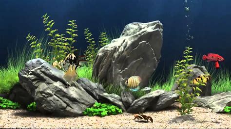 Fish Tank Screensaver Most Refreshing Free 3d Fish Tank