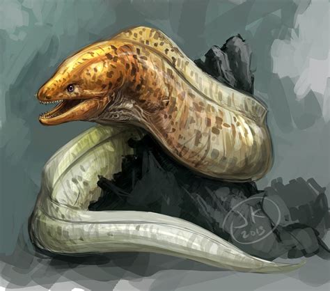 Moray Eel Creature Concept Art Animal Sketches Animal Art