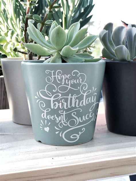 Everyone loves a gift once in a while. Birthday Succulent Planter Pot with Saying, Succulent Puns ...